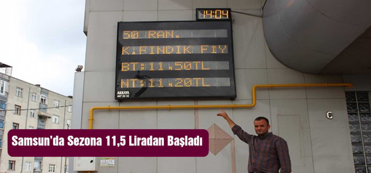 Fındık fiyatı, sezona 11,5 liradan başladı