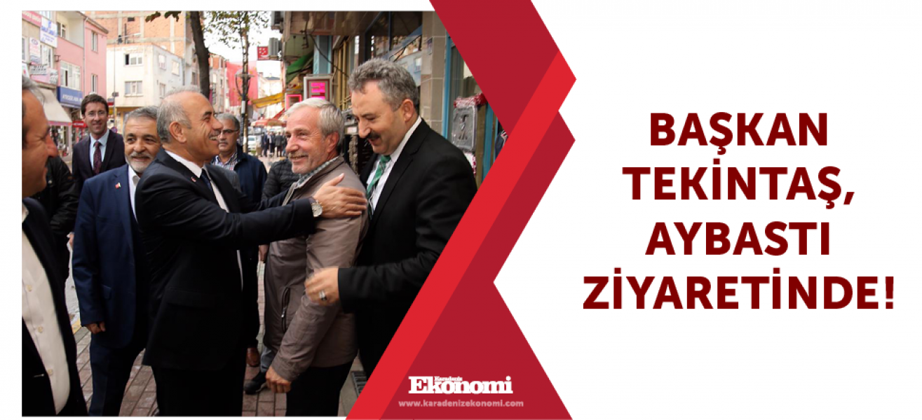 Başkan Tekintaş,Aybastı ziyaretinde!