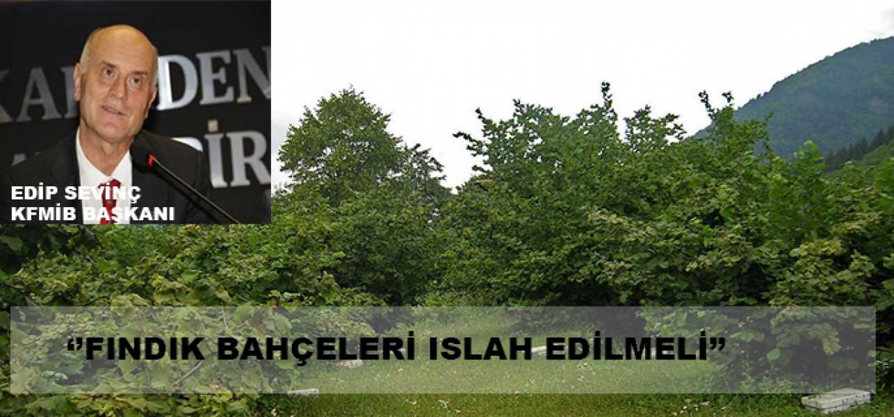 KFMİB: 