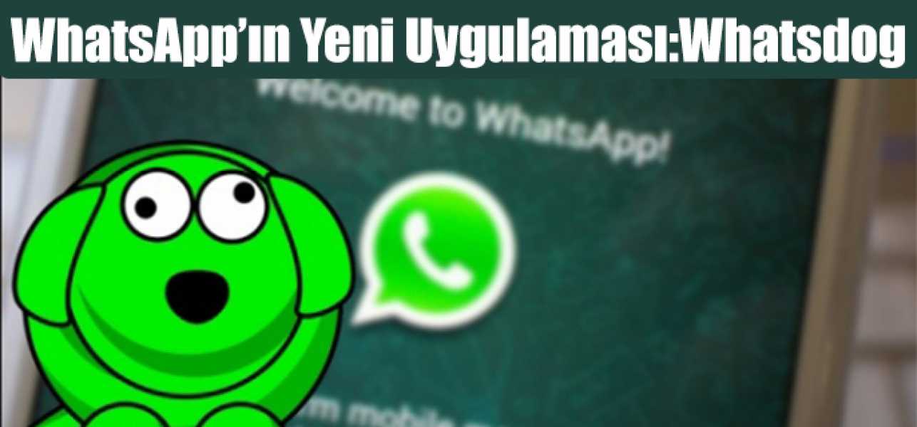 Whatsapp`ın yeni uygulaması: Whatsdog