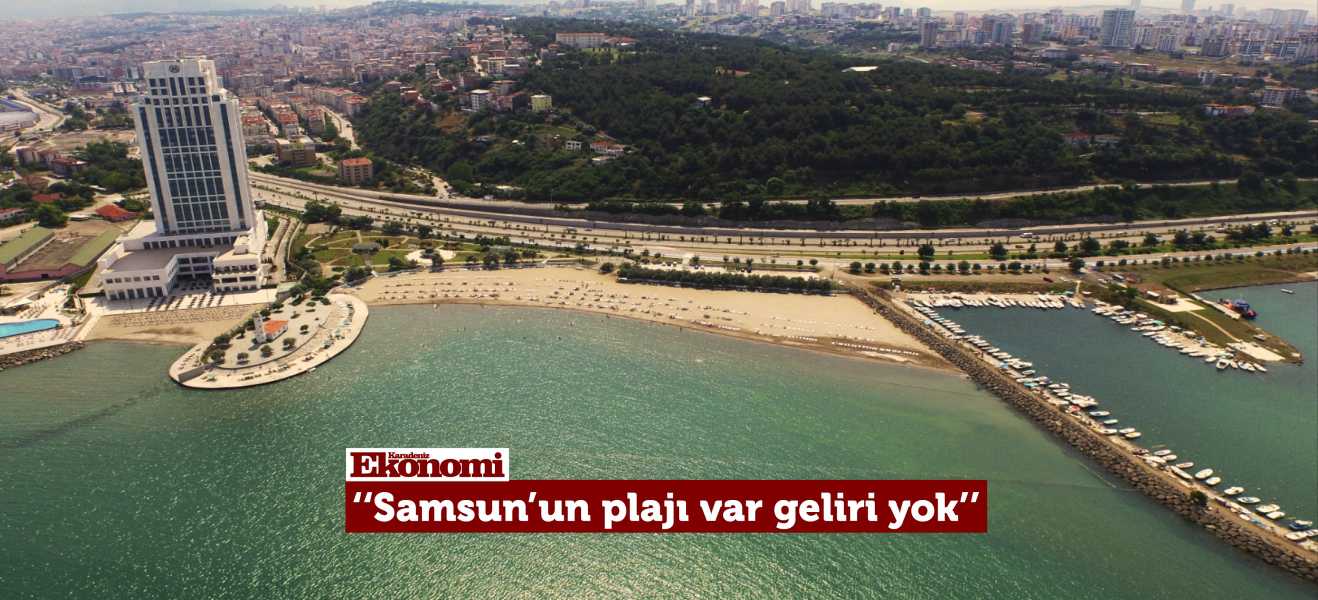 Ekonomik girdi sağlayamıyor