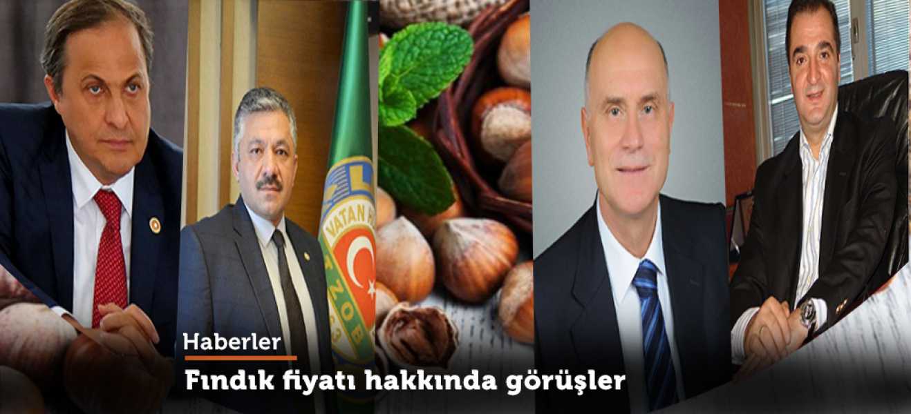 Fındık fiyatı hakkında görüşler