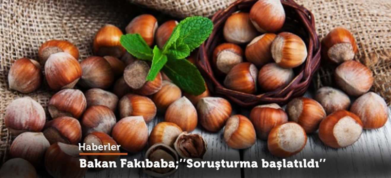 Bakan Fakıbaba'dan fındık fiyatı açıklaması